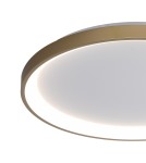 LED ceiling lamps - ITALUX Raden Ceiling 1xLED 40W from 3000K to 6000K Gold CLN-3151-S-GD - product 2
