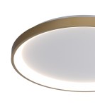 LED ceiling lamps - ITALUX Raden Ceiling 1xLED 50W from 3000K to 6000K Gold CLN-3151-M-GD - product 2