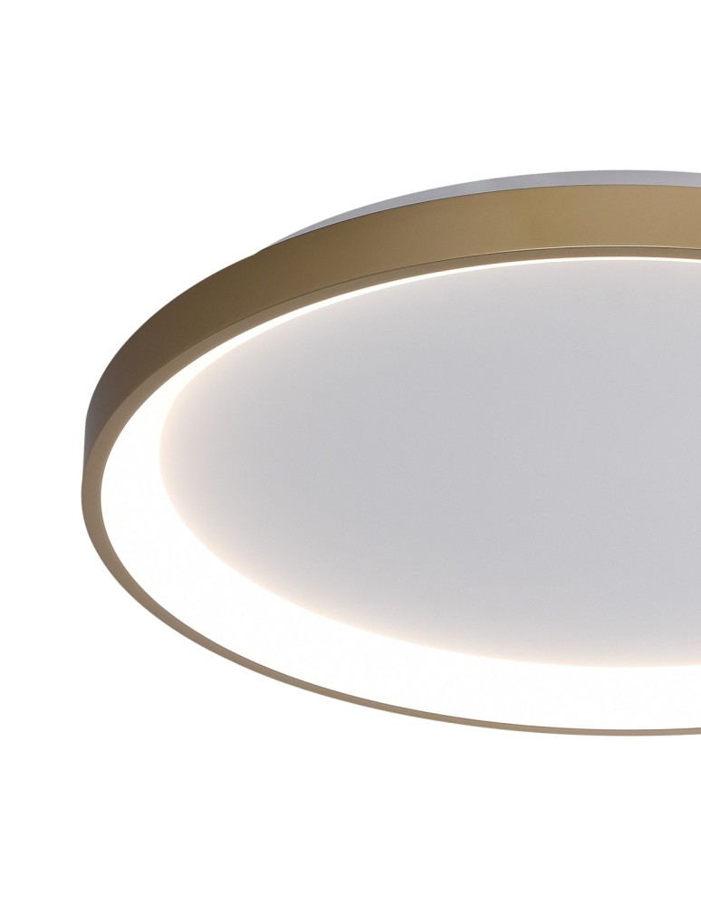 LED ceiling lamps - ITALUX Raden Ceiling 1xLED 50W from 3000K to 6000K Gold CLN-3151-M-GD - product kolory-swiatla.pl 2