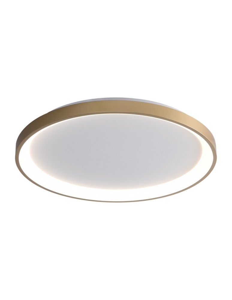 LED ceiling lamps - ITALUX Raden Ceiling 1xLED 50W from 3000K to 6000K Gold CLN-3151-M-GD - product kolory-swiatla.pl 1