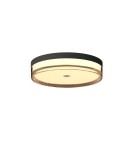 LED ceiling lamps - ITALUX Molino Ceiling 1xLED 24W switchable 2800K/4000K/6000K Black PLF-64536-S-BK - product 2