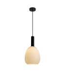 Single pendant lamps - ITALUX Gater Pendant 1xE27 40W Black PND-23541-1-BK-OP - product 3