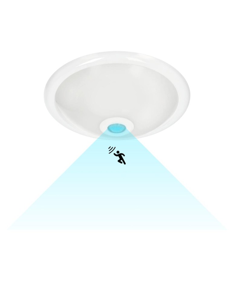 Plafonds with motion sensor - Eko-Light Plafond Mario 2xE27 PIR IK08 EKP9911 - product kolory-swiatla.pl 2