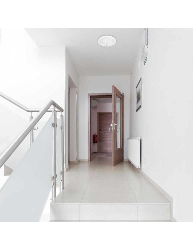 Plafonds with motion sensor - Eko-Light Plafond Mario 2xE27 PIR IK08 EKP9911 - product kolory-swiatla.pl 5