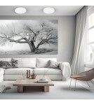 LED Plafonds - Milagro Plafond MAQ 24W 3CCT White ML1661 - product 5