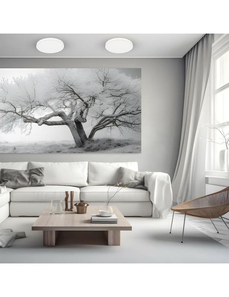 LED Plafonds - Milagro Plafond MAQ 24W 3CCT White ML1661 - product kolory-swiatla.pl 5