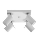 Ceiling lamps - Sollux Plafond RING 4 white SL.0090 - product 1