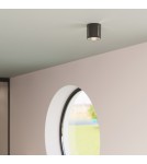 Wall lamps - Sollux Wall lamp INEZ black SL.0353 - product 10