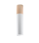 Ceiling lamps - Sollux Plafond PABLO white SL.0631 - product 1