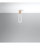 Ceiling lamps - Sollux Plafond PABLO white SL.0631 - product 2