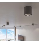 Ceiling lamps - Sollux Plafond TIUBE gray SL.0696 - product 9