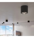 Ceiling lamps - Sollux Plafond TIUBE black SL.0697 - product 9