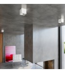 Ceiling lamps - Sollux Plafond BLAKE white SL.0698 - product 9