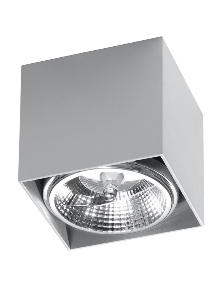 Ceiling lamps - Sollux Plafond BLAKE gray SL.0699 - product kolory-swiatla.pl 1