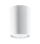 Ceiling lamps - Sollux Plafond LAGOS 10 white SL.0996 - product 1