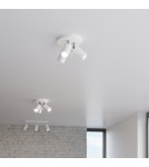 Ceiling lamps - Sollux Plafond RING 3P white SL.1015 - product 8