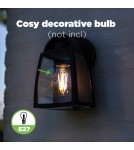 Outdoor wall lamps - Lutec Outdoor Wall Mounted KELSEY 5273702012 - product 4