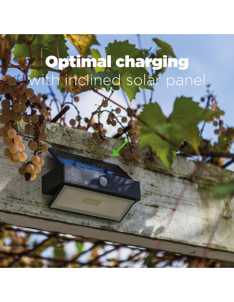 Solar lamps - Lutec Outdoor Wall ARROW 6910601335 - product kolory-swiatla.pl 3