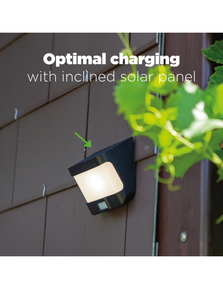 Solar lamps - Lutec Outdoor Solar TRY - MOVEMENT SENSOR 6939101330 - product kolory-swiatla.pl 6