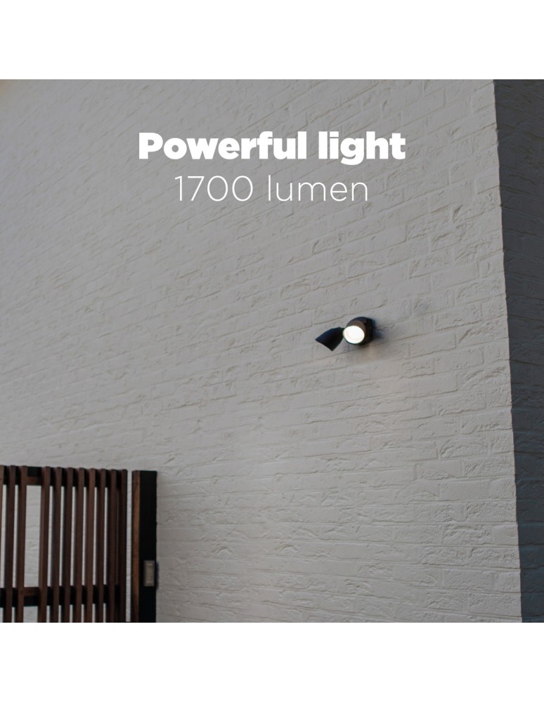 Outdoor wall lamps - Lutec Outdoor Wall SHRIMP 7622221012 - product kolory-swiatla.pl 7