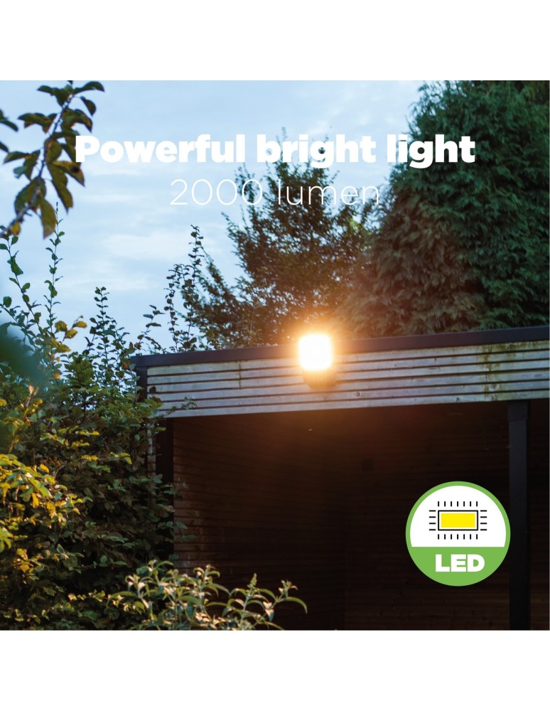 Outdoor wall lamps - Lutec Outdoor Wall Mount ATLANTIS 7801601118 - product kolory-swiatla.pl 10