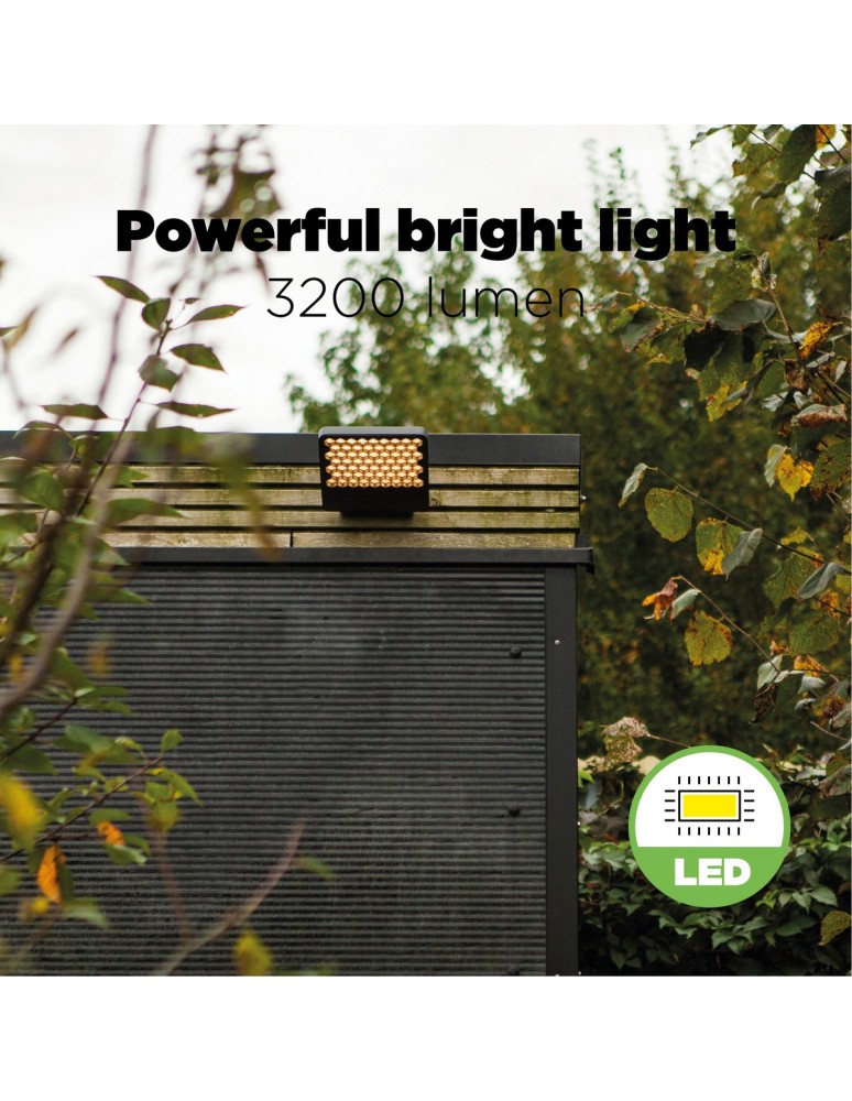 Outdoor wall lamps - Lutec Outdoor Wall Mount ATLANTIS 7801603118 - product kolory-swiatla.pl 10