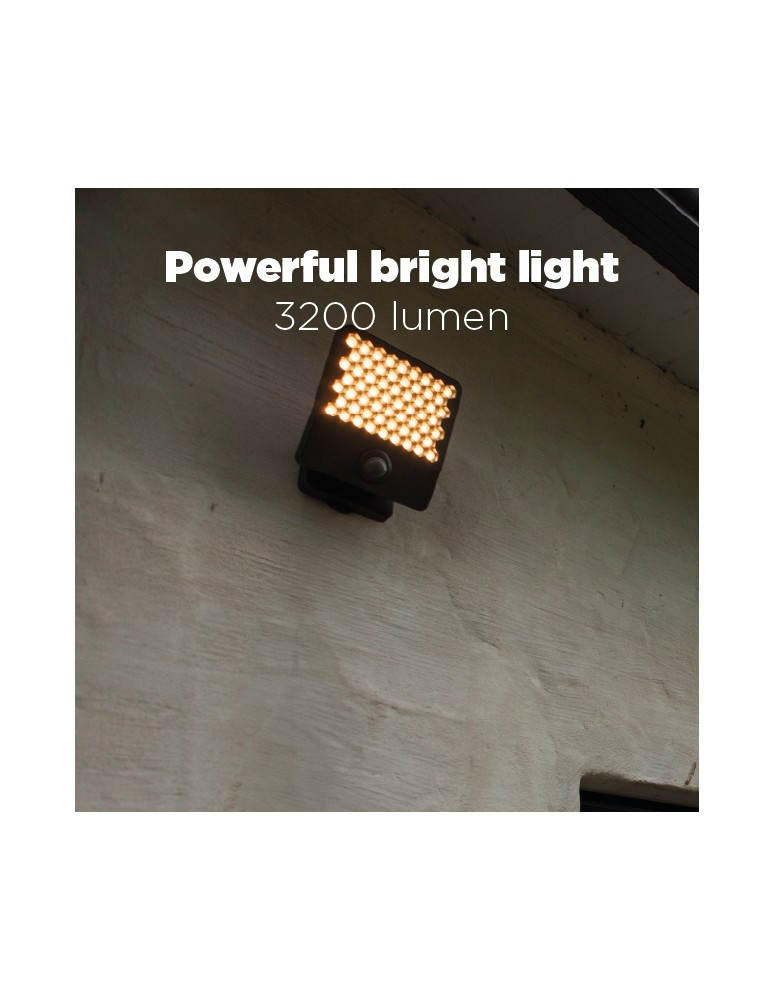 Outdoor lights with motion sensor - Lutec Outdoor Wall Mount ATLANTIS 7801604118 - product kolory-swiatla.pl 11