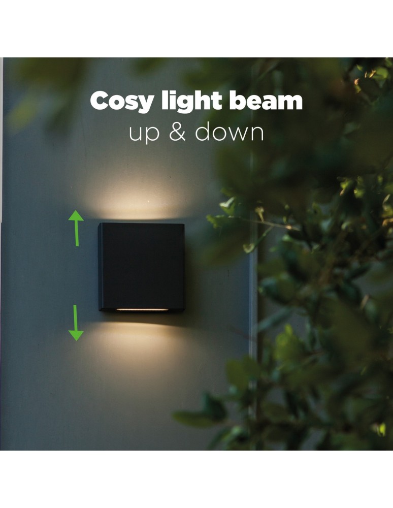 Outdoor wall lamps - Lutec Outdoor Wall PILI 5102601125 - product kolory-swiatla.pl 13