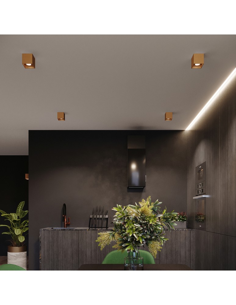 Gold ceiling fixtures - Sollux Plafond QUAD 1 gold SL.1182 - product kolory-swiatla.pl 9