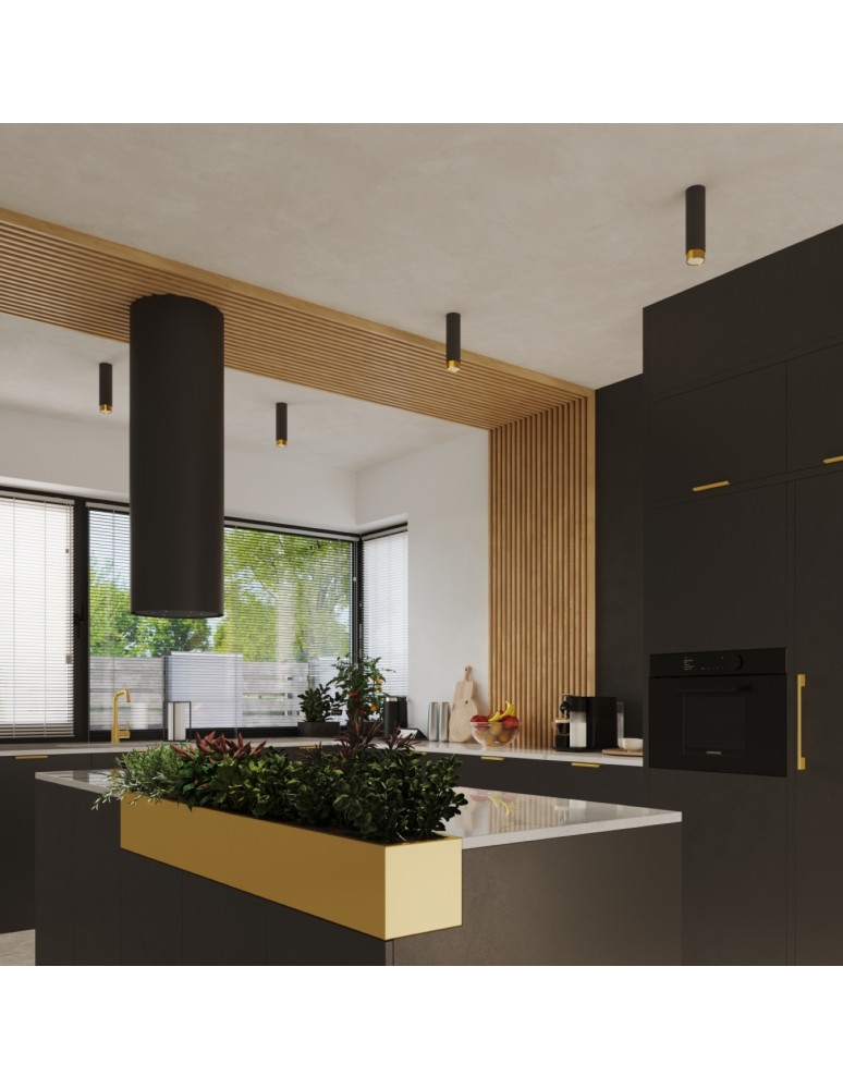 Black ceiling fixtures - Sollux Plafond NERO 12.5 black/gold SL.1410 - product kolory-swiatla.pl 9