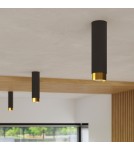 Black ceiling fixtures - Sollux Plafond NERO 12.5 black/gold SL.1410 - product 10
