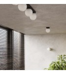 Wall lamps spheres - Sollux Wall lamp YOLI 1 black SL.1461 - product 11