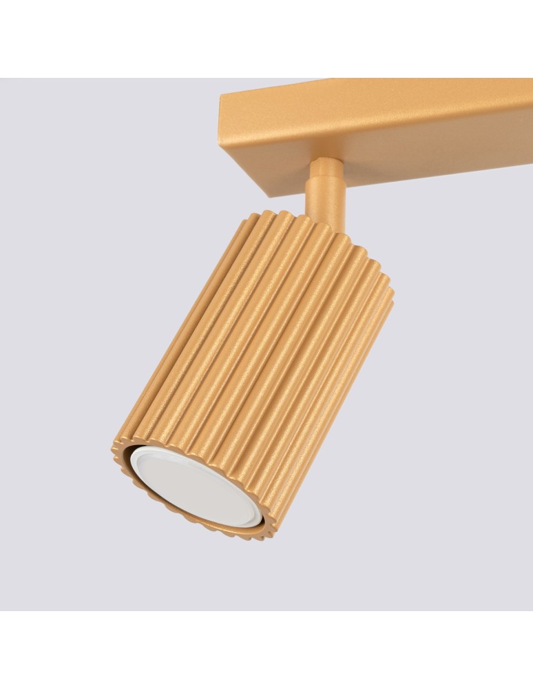 Adjustable ceiling lamps - spots - Sollux Plafond KARBON 2 gold SL.1561 - product kolory-swiatla.pl 6