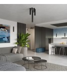 Black ceiling fixtures - Sollux Plafond KARBON 60 black SL.1572 - product 10