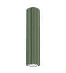 Green ceiling lamps - Sollux Plafon KARBON 30 olive green SL.1608 - product 1