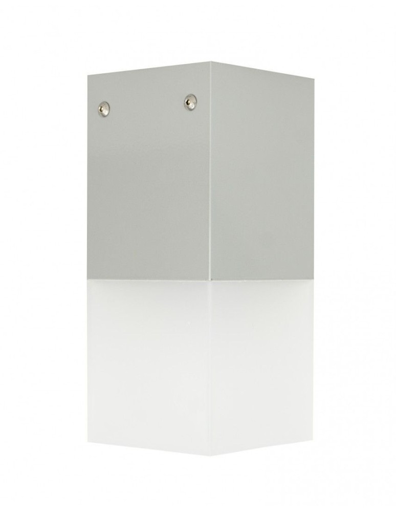Outdoor ceiling lamps - SU-MA CUBE MAX 1x20W E27 230V Silver CB-MAX S AL Plafond. - product kolory-swiatla.pl 1