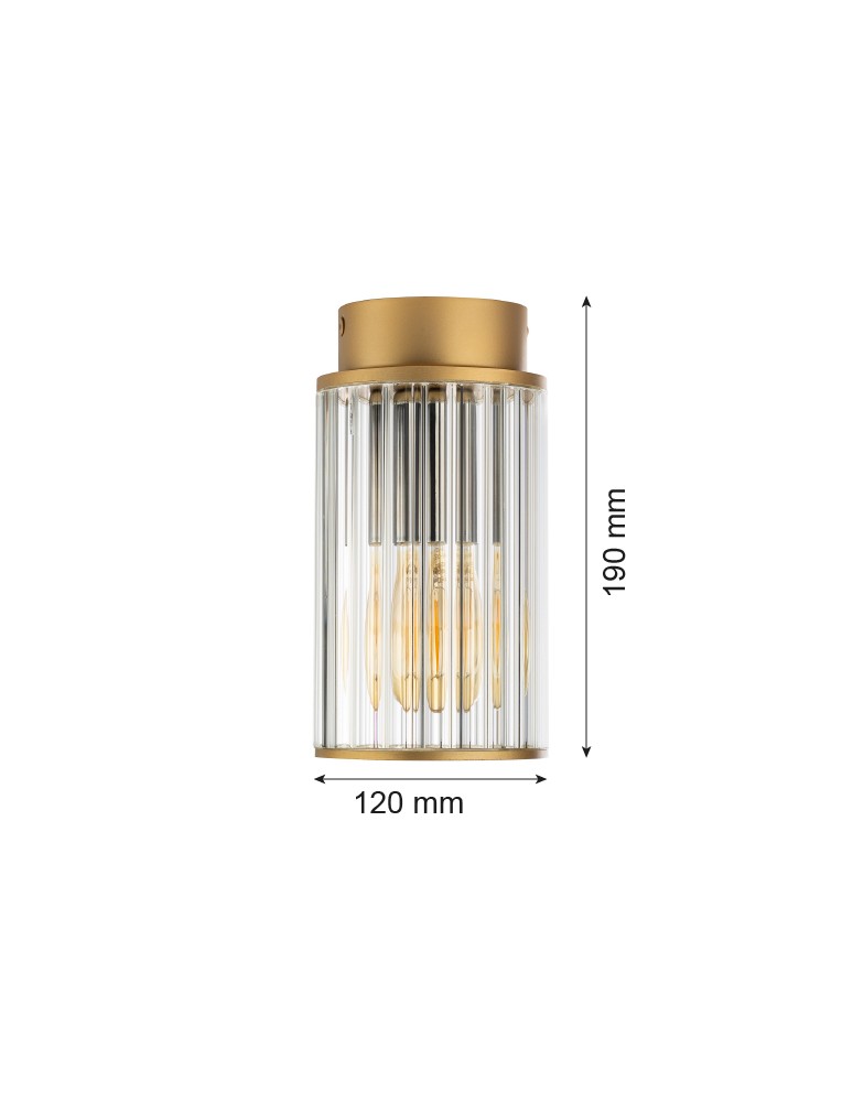 Outdoor ceiling lamps - Argon NORFOLK 8774 plafond 1 fl., gold + transparent E27 (light source not included) / 230V lacquered aluminum, glass - product kolory-swiatla.pl 6