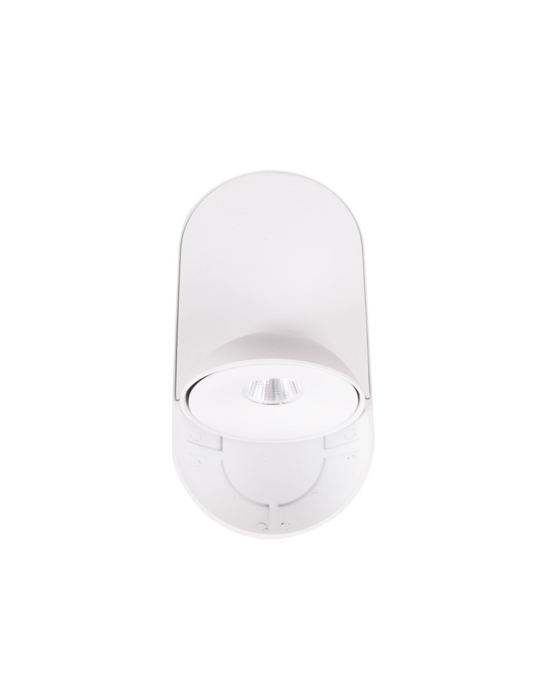 Spotlight ceiling lamps - Maxlight Vector 10W White Ceiling Lamp C0267. - product kolory-swiatla.pl 2