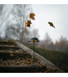 Maxlight Lampa Stołowa Muffin Czarna IP44 T0066 Maxlight Lampa Stołowa Muffin Czarna IP44 T0066