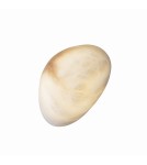 Designer wall lamps - Maxlight Wall lamp Nuvia 5W W0397 - product 2