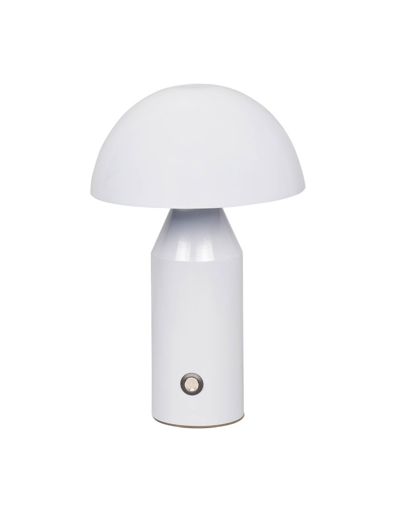 Portable table lamps - Italux Dorbia Desk LED 2W 3000K + 6500K 45 lm White TB-83647-WH - product kolory-swiatla.pl 1