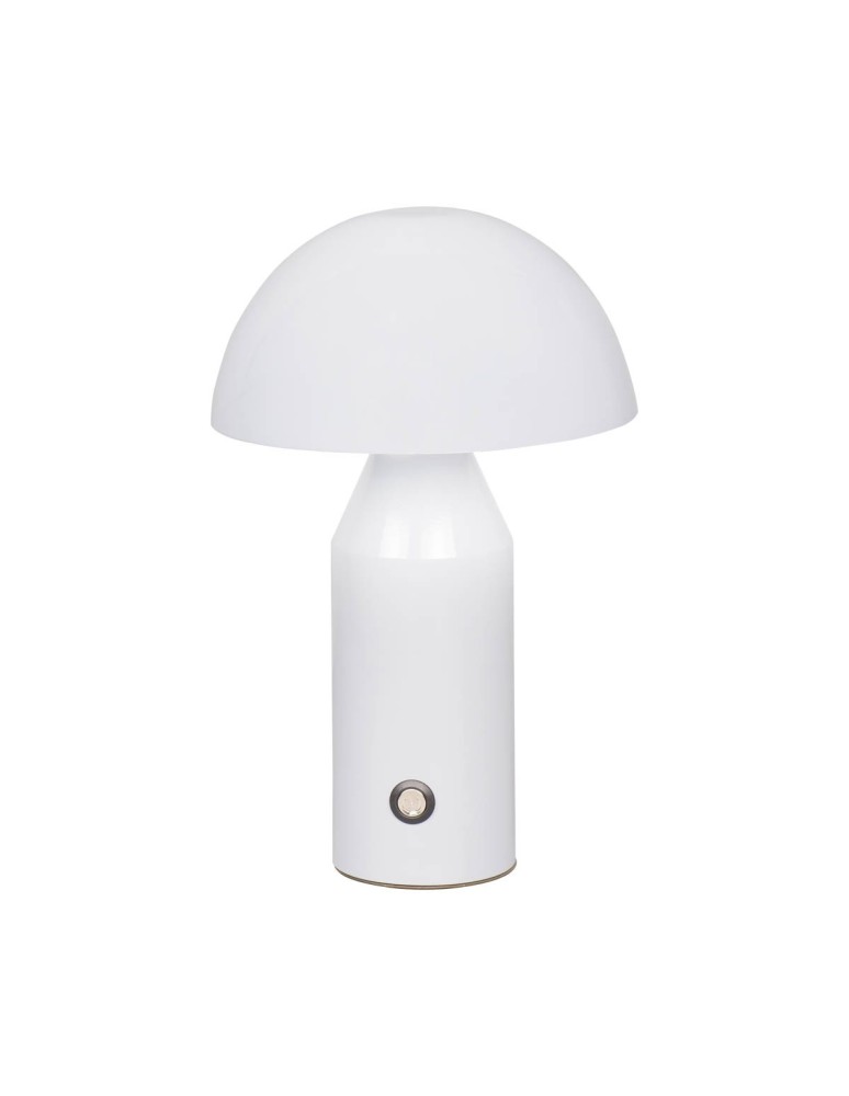 Portable table lamps - Italux Dorbia Desk LED 2W 3000K + 6500K 45 lm White TB-83647-WH - product kolory-swiatla.pl 2
