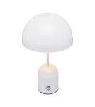 Italux Cantia Biurkowa LED 2W 3000K + 6500K 85 lm Biały TB-75839-WH