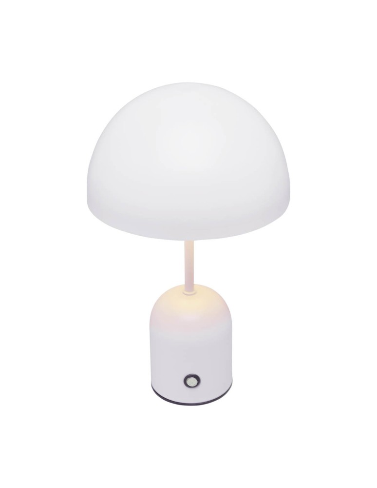 Portable table lamps - Italux Cantia Desk LED 2W 3000K + 6500K 85 lm White TB-75839-WH - product kolory-swiatla.pl 1