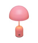 Portable table lamps - Italux Cantia Desk LED 2W 3000K + 6500K 85 lm Pink TB-75839-ROSE - product 1