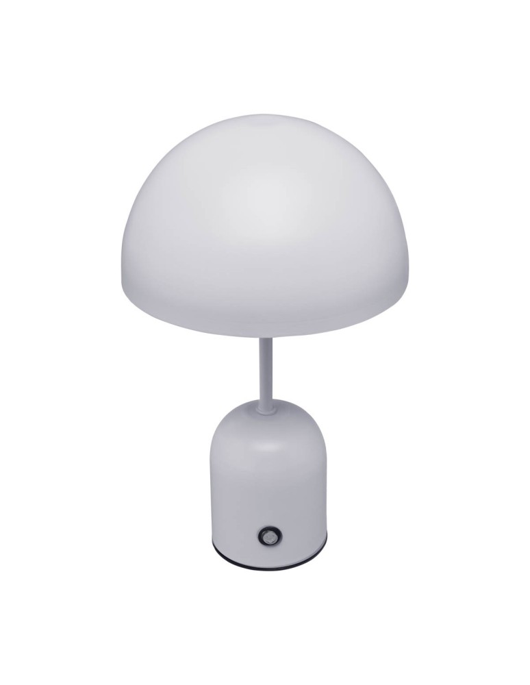 Portable table lamps - Italux Cantia Desk LED 2W 3000K + 6500K 85 lm Gray TB-75839-GR - product kolory-swiatla.pl 2