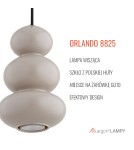 Single pendant lamps - Argon ORLANDO 8825 GU10 (light source not included) / 230V glass, painted steel - product 11