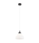 Single pendant lamps - Argon VENTURA 8777 E27 (light source not included) / 230V glass, brushed lacquered steel - product 1