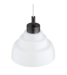 Single pendant lamps - Argon VENTURA 8777 E27 (light source not included) / 230V glass, brushed lacquered steel - product 2