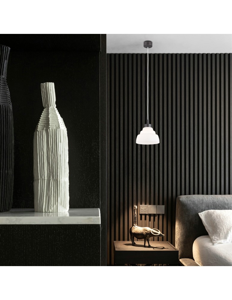 Single pendant lamps - Argon VENTURA 8777 E27 (light source not included) / 230V glass, brushed lacquered steel - product kolory-swiatla.pl 4